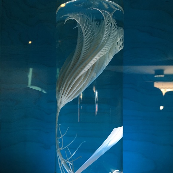 Meet your Posher, Erika - Picture 1 of 1